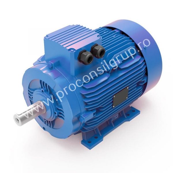 Motor electric trifazat standard - Proconsil Grup Iasi